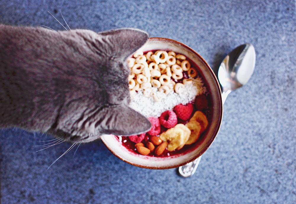 Smoothie bowl